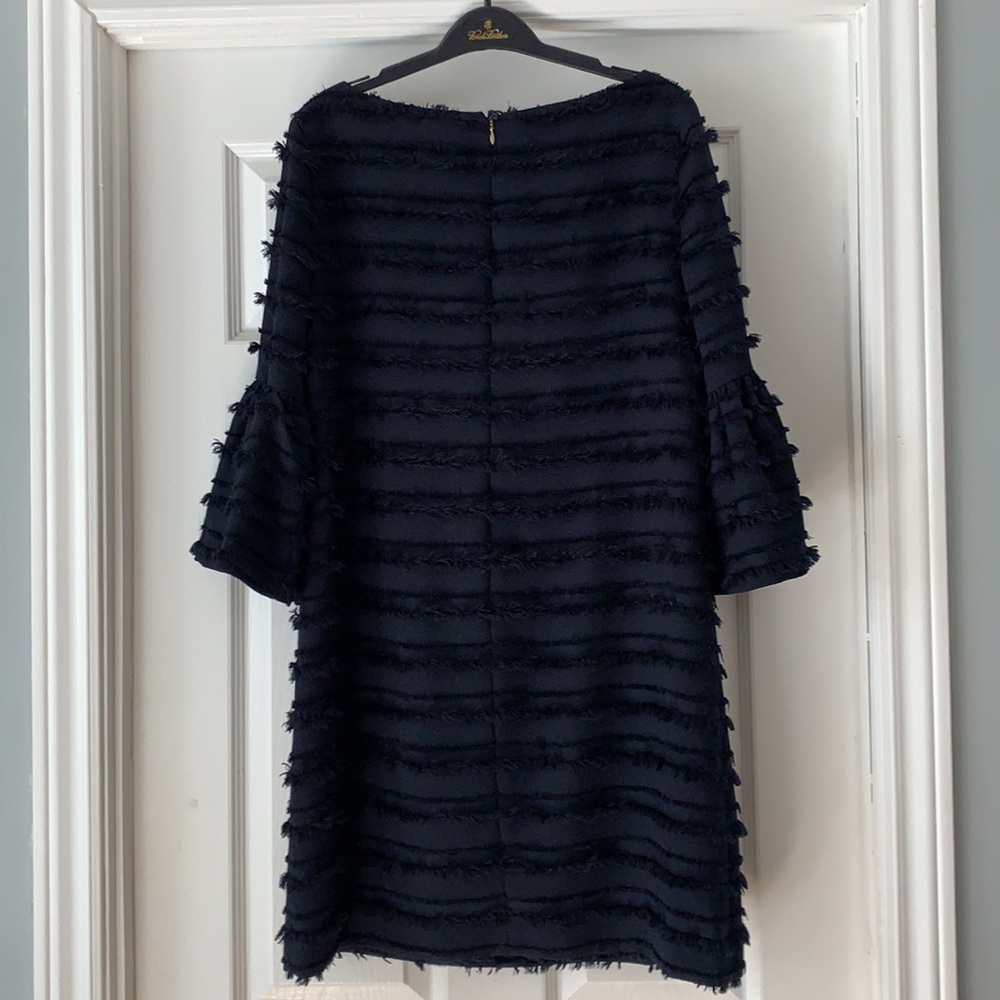 Club Monaco Dress 8